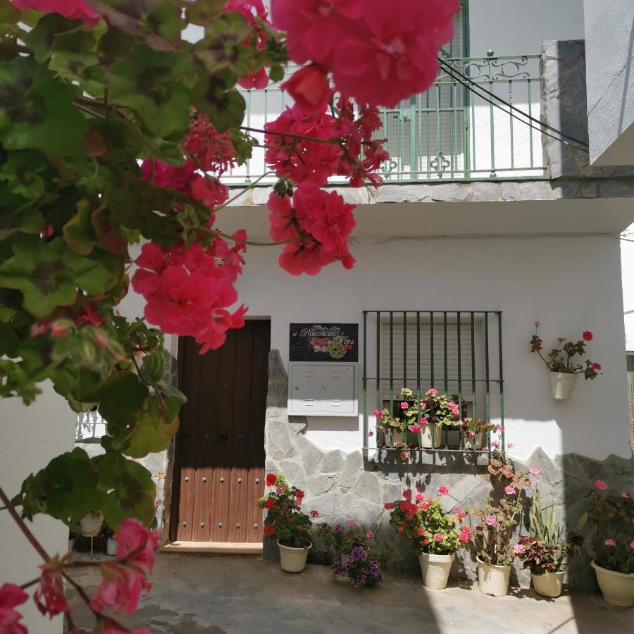 Casa Pepa * Conil De La Frontera
