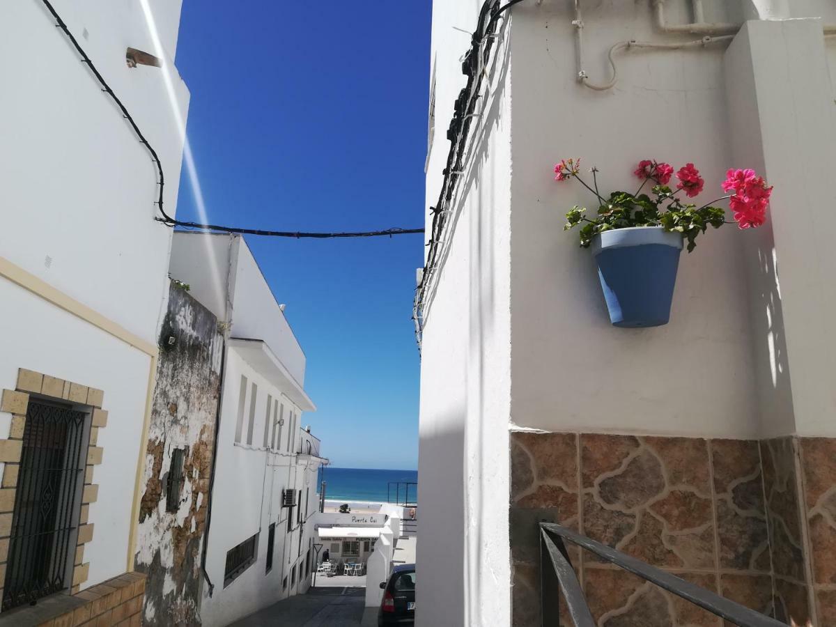 Apartment Casa Pepa *